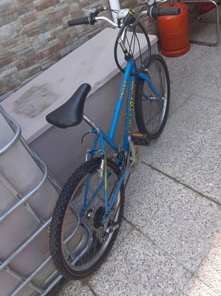 Bicicleta de montaña