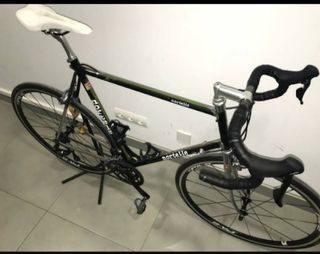 Bicicleta carretera Nortel.le,piel serpiente.
