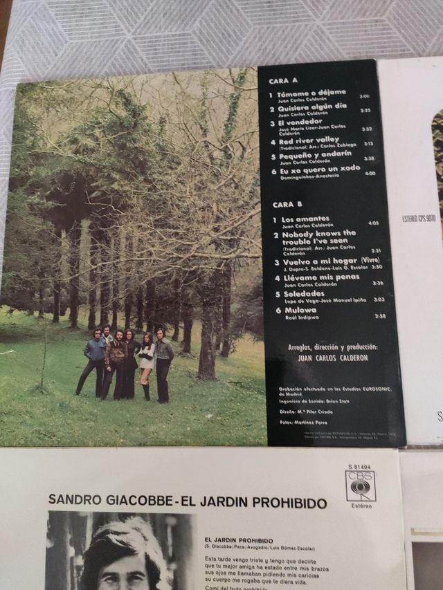 Diverse confezioni in vinile