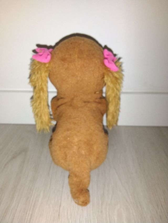 Perrita Lucy Canta y baila