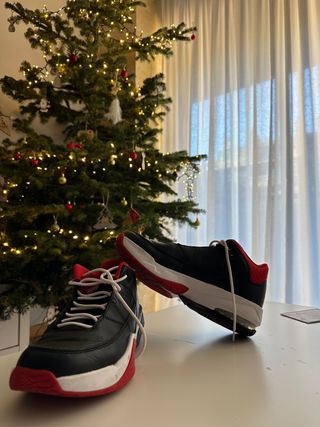 Bambas Nike Air número 41