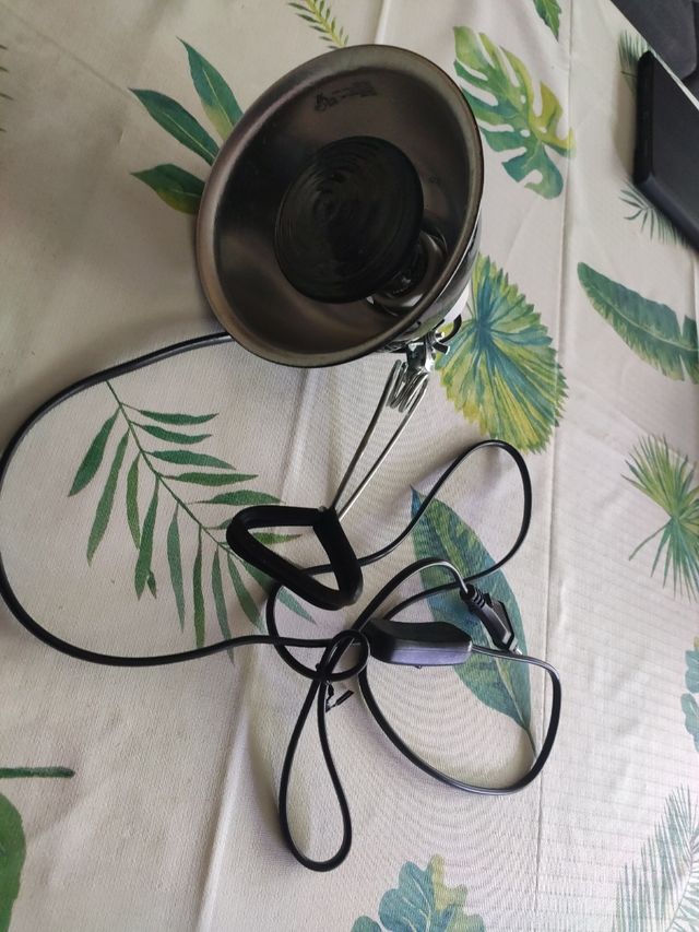 Acuario Tortuguera con accesorios