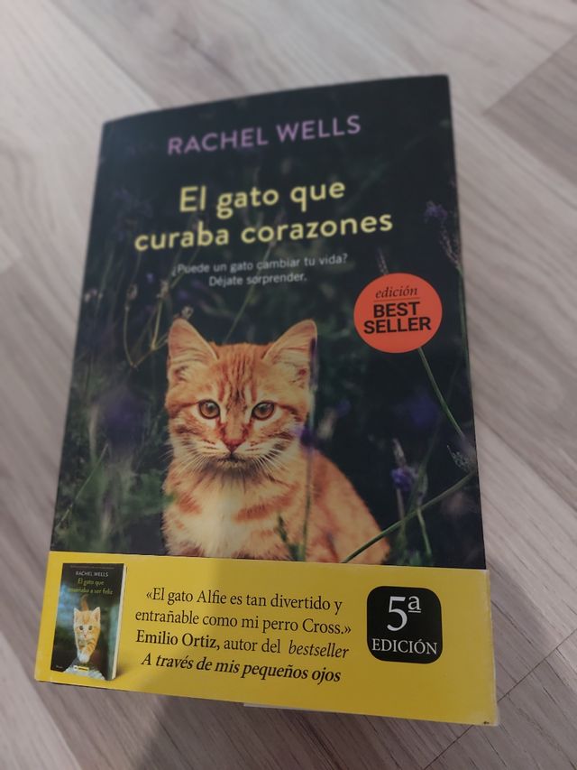 El gato que curaba corazones