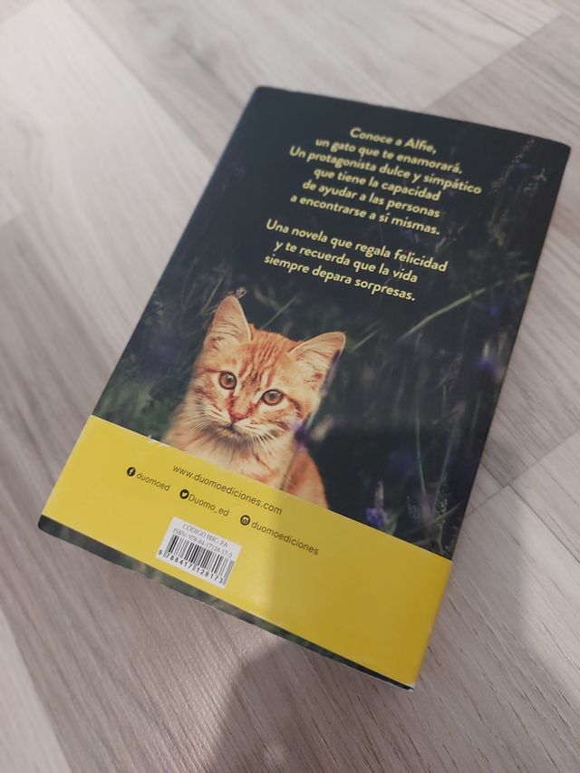 El gato que curaba corazones