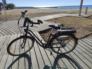 Bicicleta eléctrica de paseo