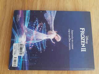 Libro Frozen II