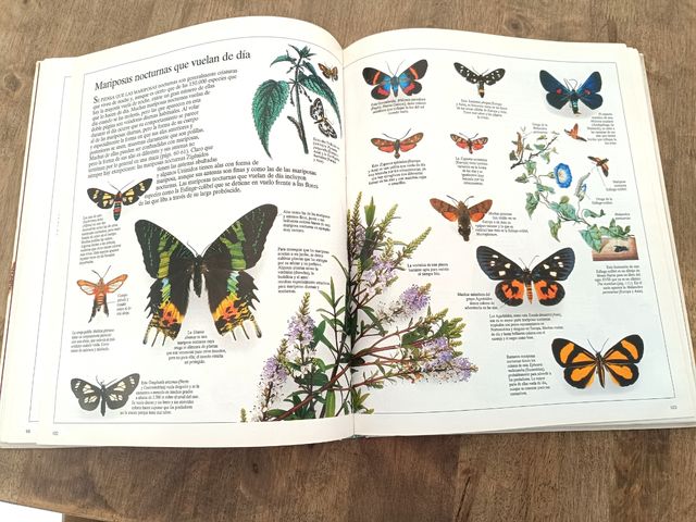 Enciclopedia 📖 visual seres vivos n°3