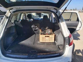 Nissan Qashqai+2 2011