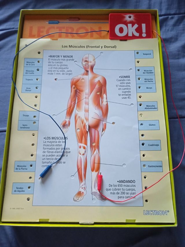 Juego educativo lectron