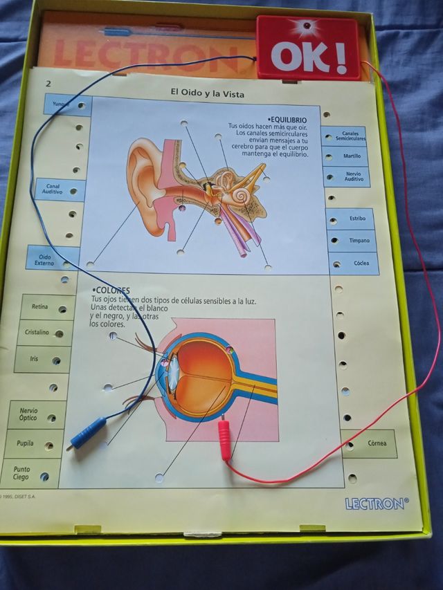 Juego educativo lectron
