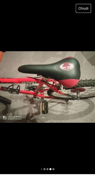Bicicletta Milan da ragazzo/a