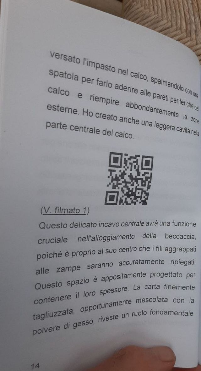 Tassidermia: Imbalsamaz. di una beccaccia ed. 2025