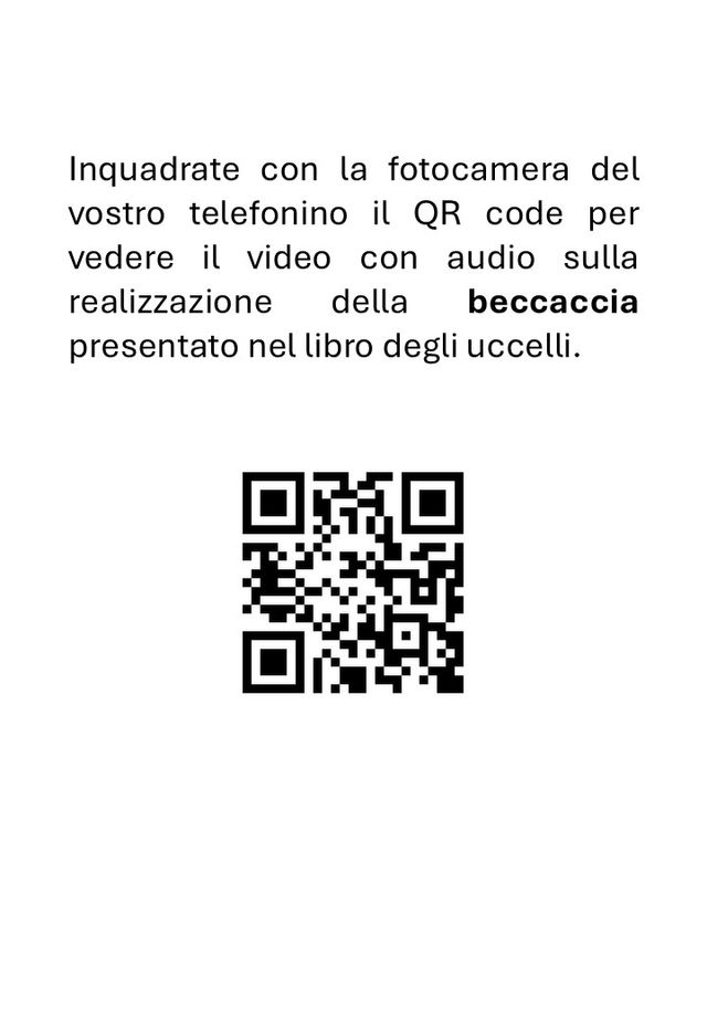 Tassidermia: Imbalsamaz. di una beccaccia ed. 2025
