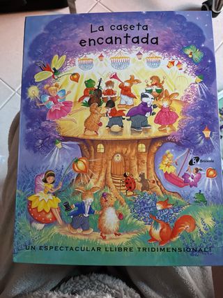 Libro acordeon la casa emcantada