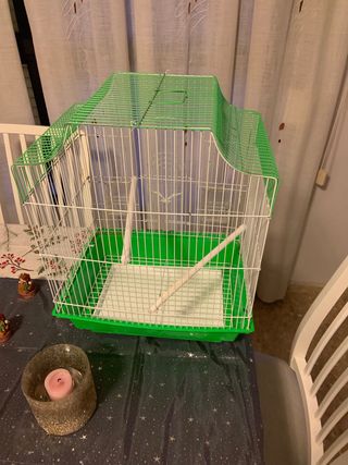 jaula agaporni o perriquitos