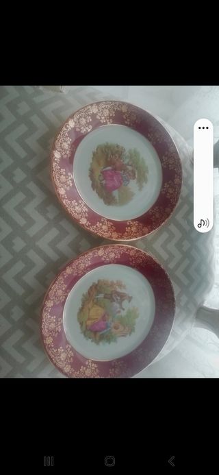 2 platos porcelana