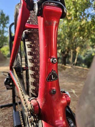 Bici MTB specialized spert carbono 2019 talla L