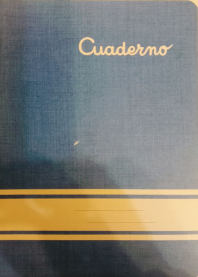 Cuadernos escolares.