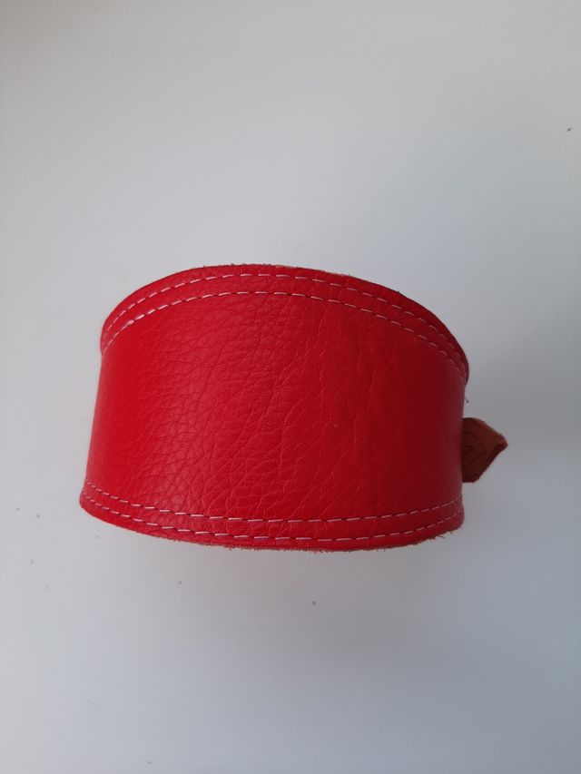 Collar Galgo adulto