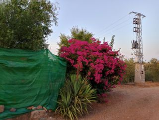 Casa campo,cortijo,casilla,nave aperos en venta