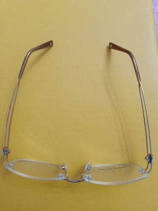 Carolina Herrera montada al aire gafa a estrenar.