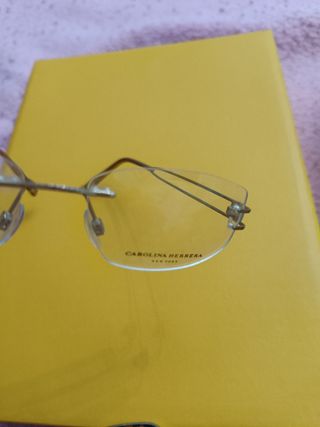 Carolina Herrera montada al aire gafa a estrenar.