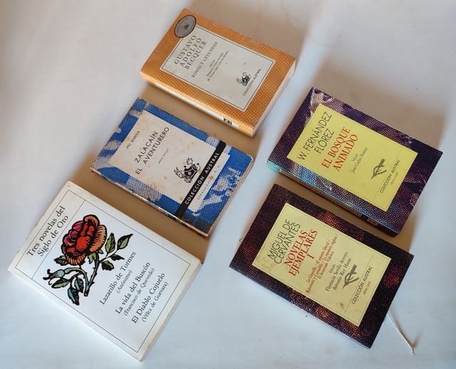 Libros de literatura clásica española