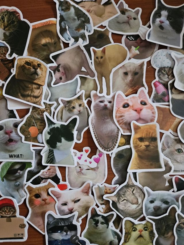 50 Stickers Impermeáveis Gatos