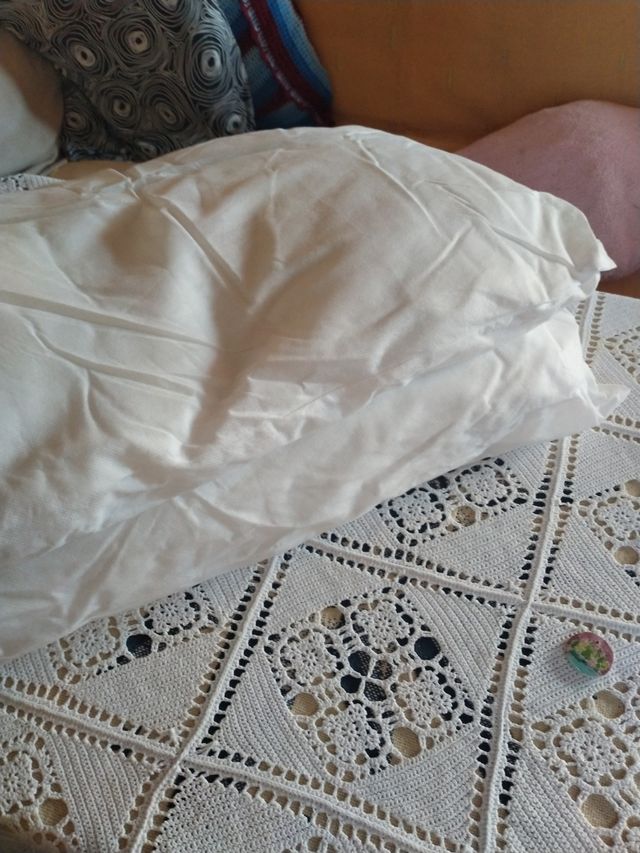 Dos almohadas con fundas