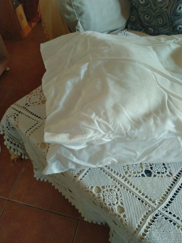 Dos almohadas con fundas