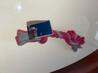 1Gioco NUOVO Per Cani Di Taglia Media/Grande“TEDI”
