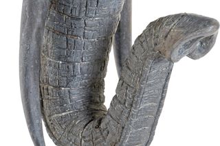 Escultura Cabeza de Elefante Figura decoración