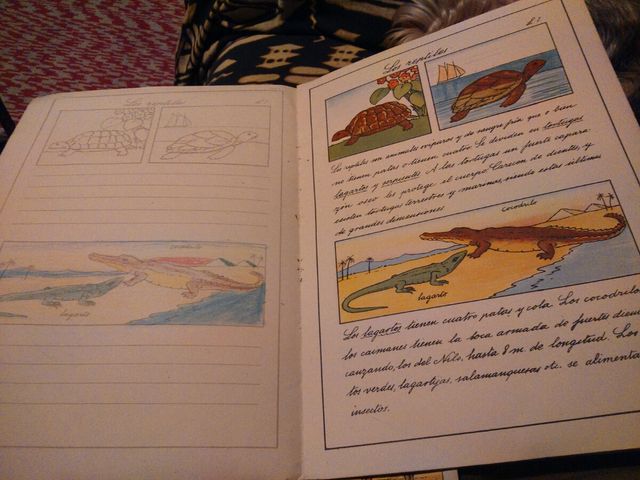 Dibujemos Luis Mallafre