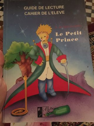 Petit Prince ejercicios Frances