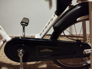 Bicicle estática vintage