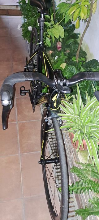 Bicicleta specialized tarmac