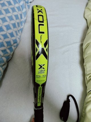 Pala nox lamperti