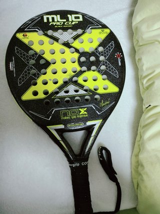 Pala nox lamperti