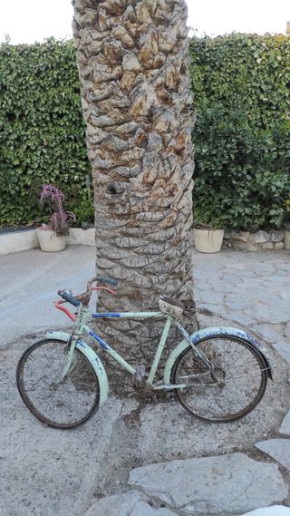 Bicicletta di medie dimensioni 