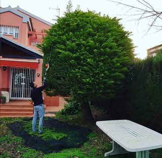 Jardinero particular 