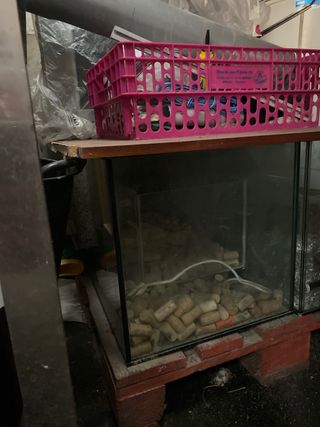 Electrodomésticos y muebles de cocina