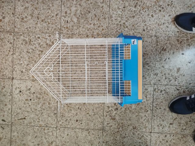 Jaula pájaros