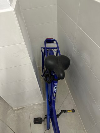 BICI DE PASEO HOLANDESA