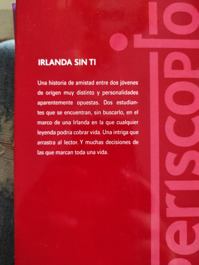 Libro Irlanda sin ti