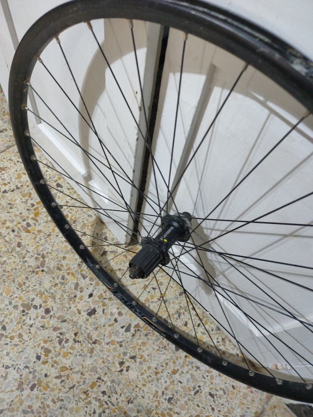 Rueda trasera 29 pulgadas