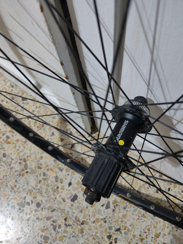 Rueda trasera 29 pulgadas