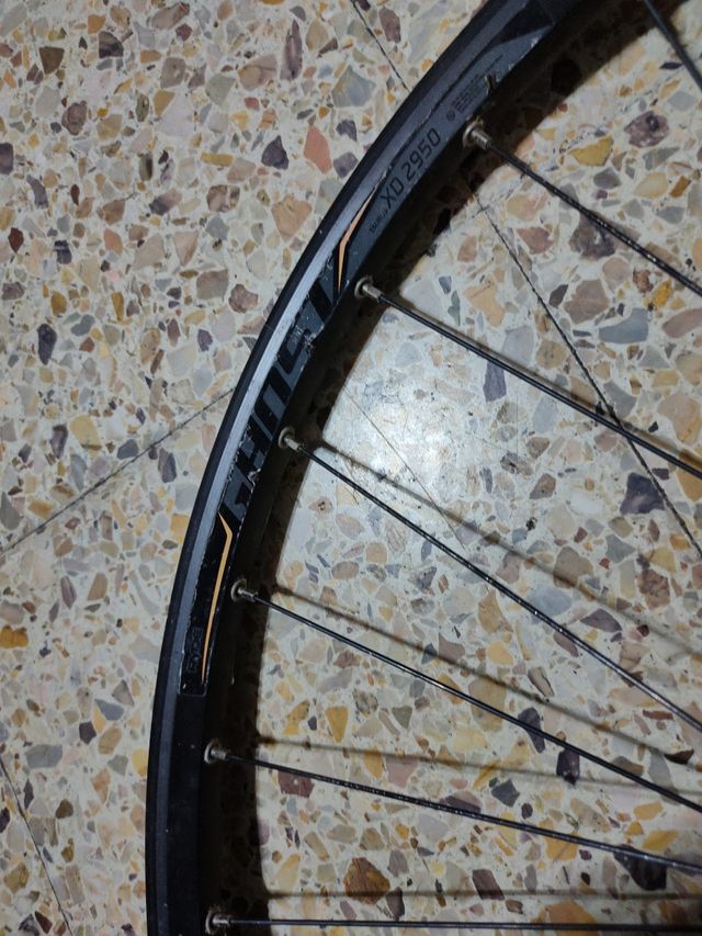 Rueda trasera 29 pulgadas