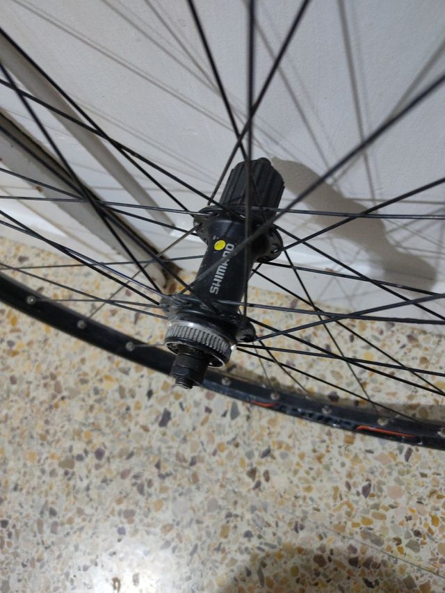 Rueda trasera 29 pulgadas