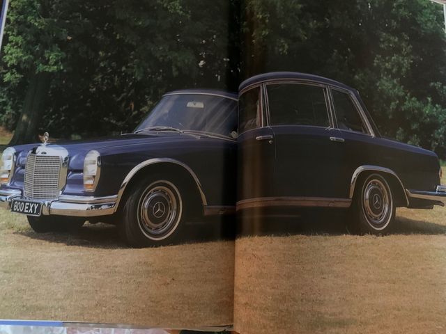 Mercedes : Al volante de una esteella.