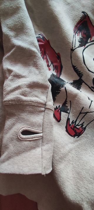 Sudadera con capucha. 